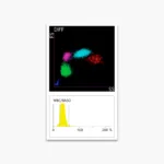 Mindray BC 5300 Hematology Analyzer - Biondiagnostic (9)
